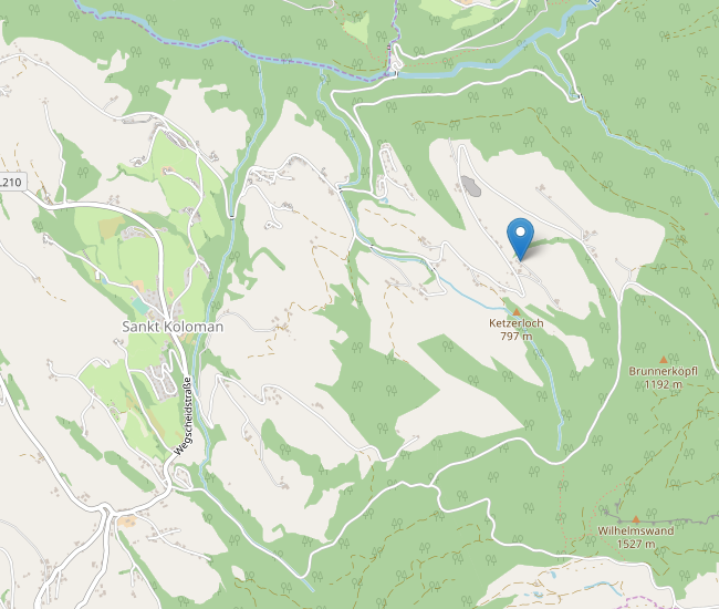 Brücklreitweg 426, 5423 St. Koloman / Salzburg